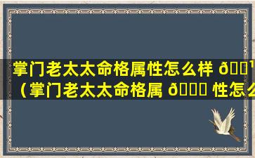 掌门老太太命格属性怎么样 🌹 （掌门老太太命格属 🐘 性怎么样啊）